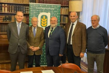 Olio Evo, accordo Confagricoltura-Unapol per slancio al comparto