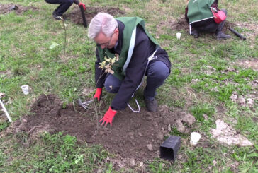 Al via progetto di riforestazione da Torino