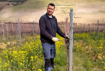 Coldiretti Toscana: “Non solo contadini vip. Boom imprese agricole straniere”