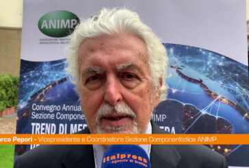 Pepori (ANIMP) "Sezione internazionalizzazione centrale per imprese"