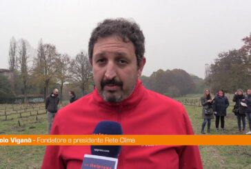 "Think Forestry", Viganò "Sarà ripetuto in diverse zone d'Italia"