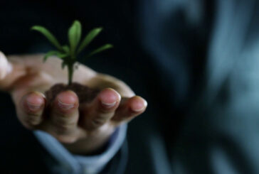 Le imprese investono di più sulla green economy