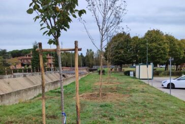 Rigenerazione spazi urbani e riqualificazione dei CCN: al via i lavori