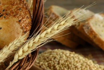 Una cabina di regia per i controlli sull’import del grano duro
