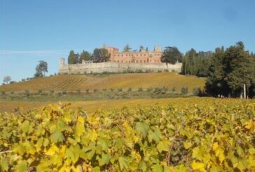 Lo sgargiante panneggio delle vigne di Brolio