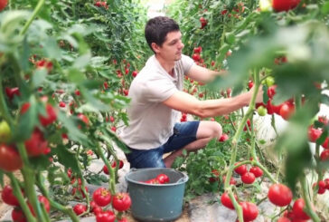 Agroalimentare, i costi nascosti valgono il 10% del Pil mondiale