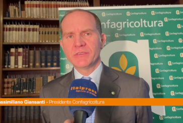 Giansanti "Il comparto dell'olio è strategico per l'Italia"