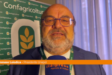 Loiodice "L'olio ha un valore sociale e non solo economico"
