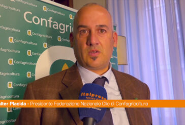 Olio, Placida "L'Italia recuperi competitività"