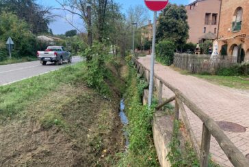 CB6 interviene sul Sorra in Pian delle Fornaci