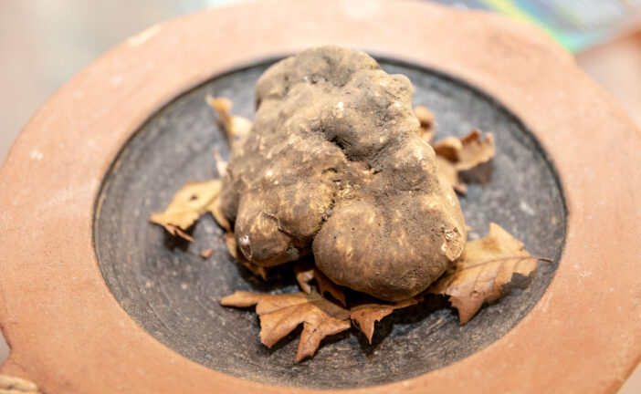 Tra Crete e Tartufo il centro di Asciano diventa luogo del gusto