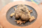 Tra Crete e Tartufo il centro di Asciano diventa luogo del gusto