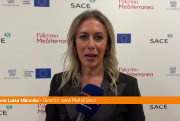 Miccolis "Da Sace nel 2023 sostegno a 1300 aziende siciliane"
