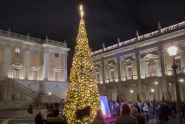 In Piazza del Campidoglio l'Albero dedicato alla Costituzione
