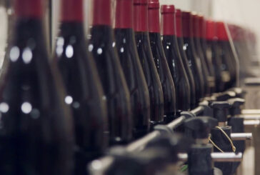 Vino, arriva la deroga per la nuova etichettatura