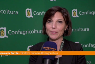 Agricoltura, Barrile "Oltre a crescita anche responsabilità sociale"