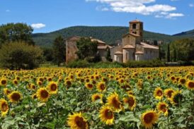 Sovicille d’estate: dal 13 luglio la rassegna tra musica, reading e teatro