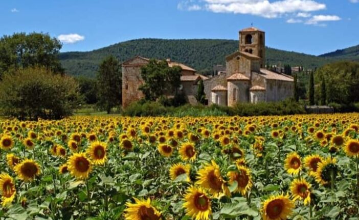 Sovicille d’estate: dal 13 luglio la rassegna tra musica, reading e teatro
