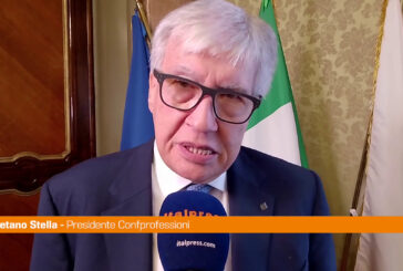 Stella "Ruolo professionisti importante, politica se ne accorga"