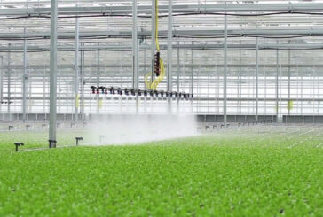 Innovazione Agricola, assegnato il 90% dei fondi