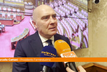Cattani "Tanta strada da fare per raggiungere l’equità di genere"