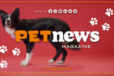 PetNews Magazine – 2/1/2024