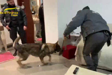 Sequestrati 5 chili di cocaina, 8 arresti tra Orta Nova e Foggia