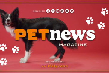PetNews Magazine – 9/1/2024