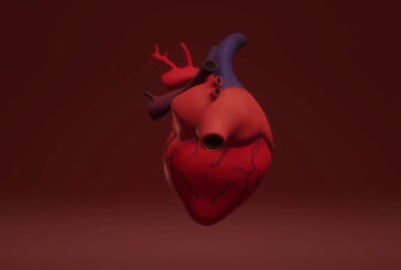 Cardiopatie nei bambini, ecco come riconoscerle