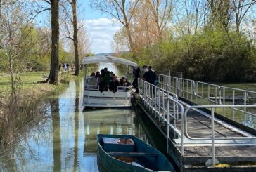 Lago di Montepulciano: progetto di riforestazione nella Riserva Naturale