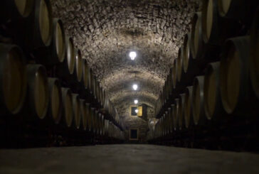 Vino, 2023 sottotono ma l'export tiene
