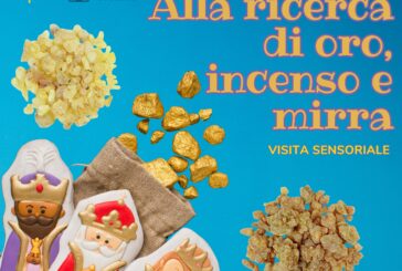 Epifania con visita sensoriale alla Pinacoteca di Siena