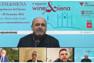 Il vino italiano fra green e greenwashing