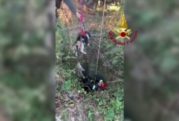 16 metri sotto terra, un cane finisce in un pozzo. Così lo salvano