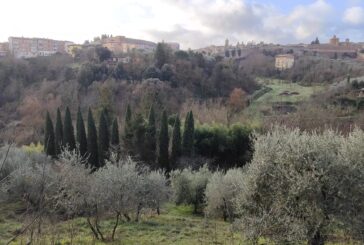 Lupi alle porte di Siena: i terreni incolti ne facilitano la presenza