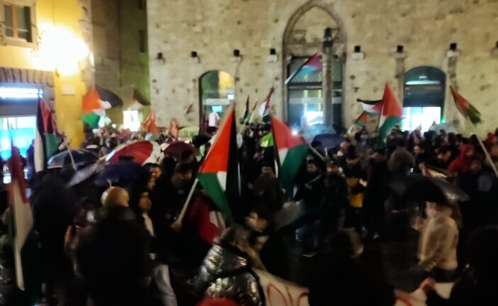Manifestazione per la Palestina (fotogallery)