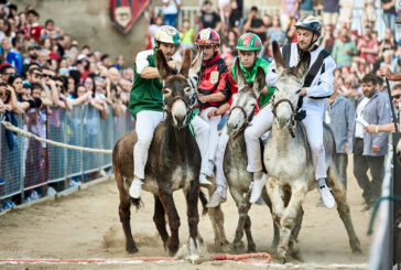 Il 67° Palio dei Somari di Torrita di Siena è alle porte