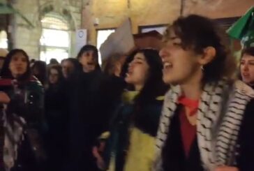 Manifestazione per la Palestina (i video)