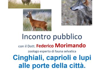 “Cinghiali, caprioli e lupi alle porte della città. Perché?”