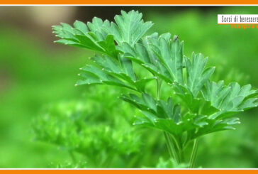 Sorsi di benessere – Insaporire con gusto, ma senza salare? Ecco come