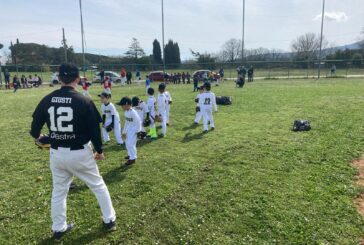 Baseball. il bilancio di Giusti: “Crescita e orgoglio per Siena BSC”