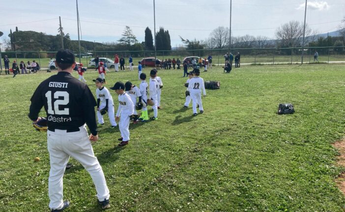 Baseball. il bilancio di Giusti: “Crescita e orgoglio per Siena BSC”
