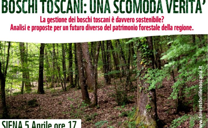 “Boschi toscani: una scomoda verità”. Il documentario in anteprima a Siena