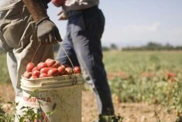 Reclutavano cittadini stranieri per farli lavorare in nero. Arresto e sequestri