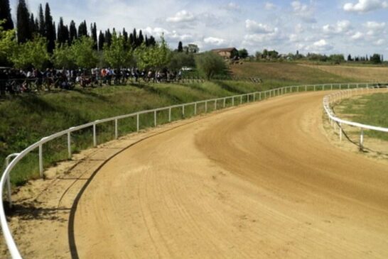 Palio: il 13, 14 e 15 marzo le visite dei cavalli per l’ammissione all’Albo