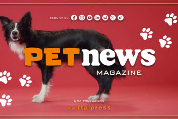 PetNews Magazine – 13/3/2024