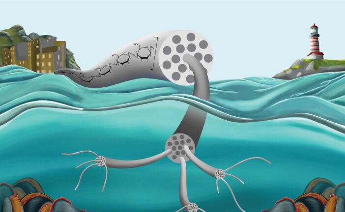 La nanocellulosa sempre più sicura per i nostri mari