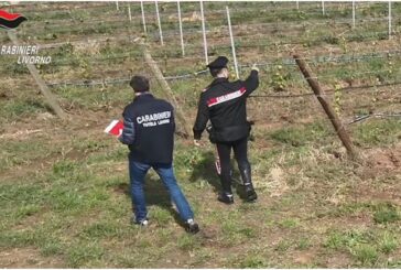 Ospiti Cas sfruttati nei campi, 10 arresti per Caporalato in Toscana
