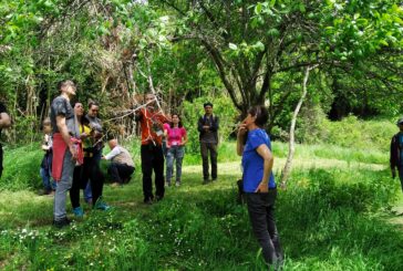 Il terzo BioBlitz Siena si svolge il 27 e il 28 aprile nella Valle di Follonica