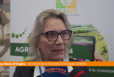 Agricoltura, D’Onghia "Con Agreed possibile rilevare fitopatologie"